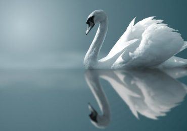 Dare to Think for Yourself – Socrates