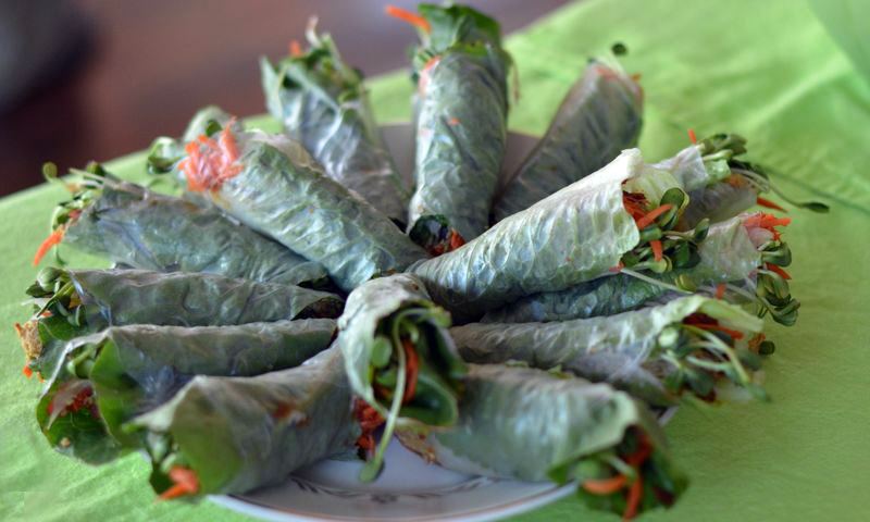wholistic_nutrition_wrap
