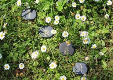 Free Reiki Energy Transfer