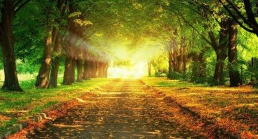 Free Holy Fire Healing Experience