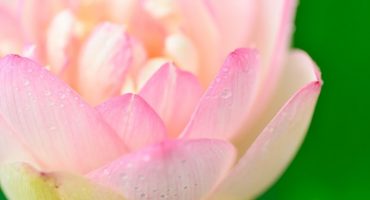 21 Taras Meditations