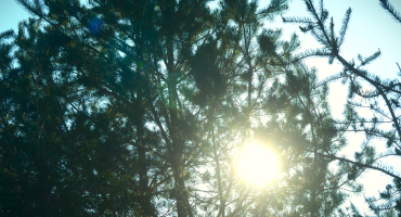 Five Intuitive Powers Meditations