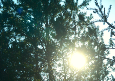 Five Intuitive Powers Meditations