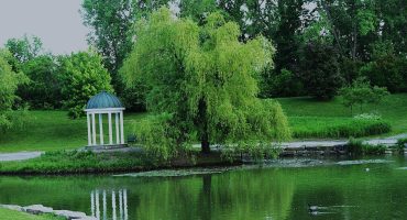 Free Reiki Share