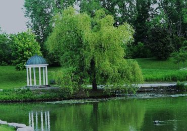 Free Reiki Share