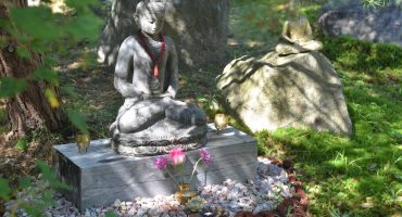 Virtual Travel Nepal, Blessings Option